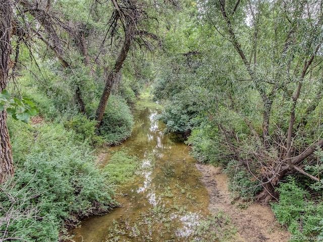 view of landscape featuring a view of trees