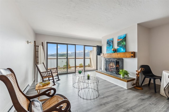 311 W La Bonte St Unit 306, Dillon, CO 80435 - living room featuring a warm lit fireplace, wood finished floors, a textured ceiling, a water view, and a baseboard radiator