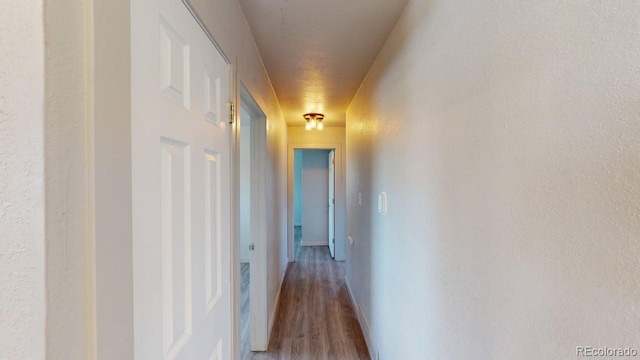 2533 E 90th Pl, Thornton, CO 80229 - hall featuring wood finished floors