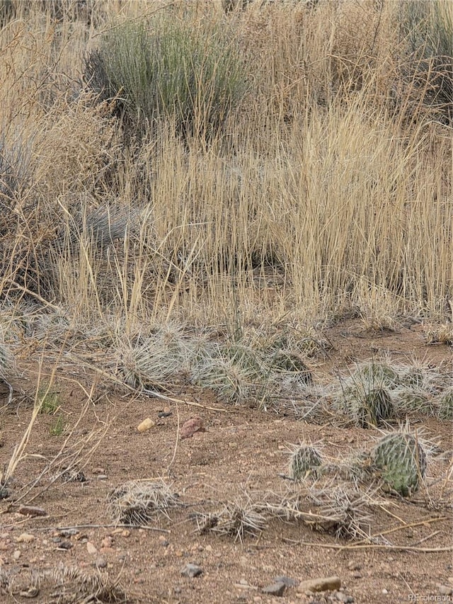 LOT17 E Denver Rd, Blanca, CO 81123 - photo 2
