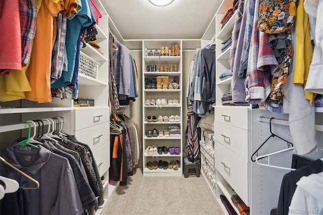 walk in closet featuring light colored carpet