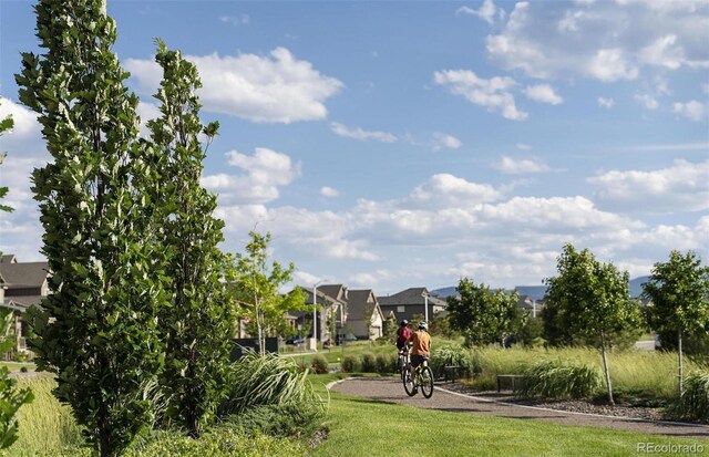 8628 Hotchkiss St, Littleton, CO 80125 - surrounding community featuring a yard and a residential view