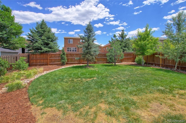5947 Cumbre Vista Way, Colorado Springs, CO 80924 - view of fenced backyard