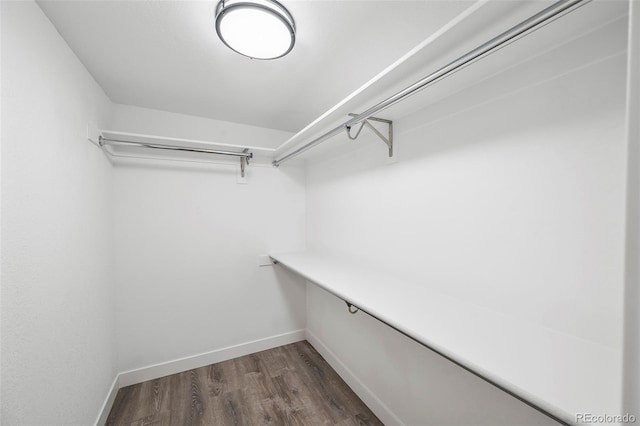 4901 W 11th Ave, Denver, CO 80204 - spacious closet featuring dark wood-style flooring