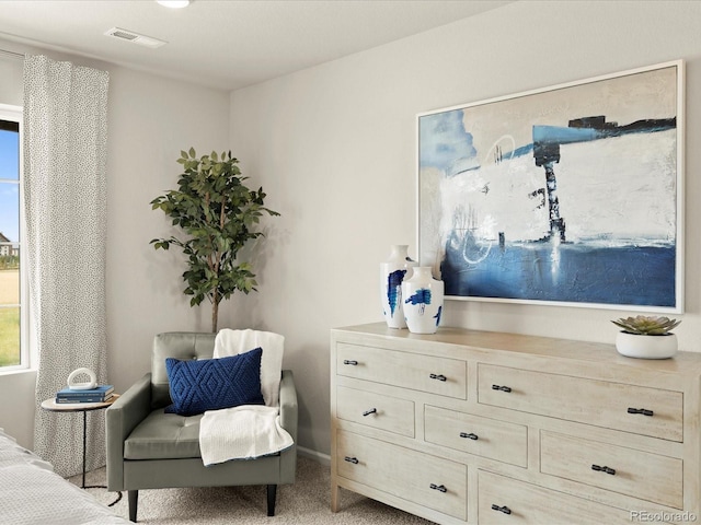 20802 E 66th Ave, Aurora, CO 80019 - photo 22
