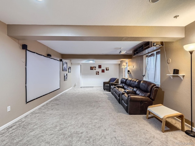 426 N 48th Ave, Brighton, CO 80601 - home theater room with carpet floors