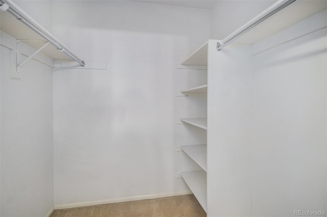 6987 E Girard Ave, Denver, CO 80224 - photo 17