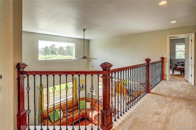 10371 Knollside Dr, Parker, CO 80134 - photo 17