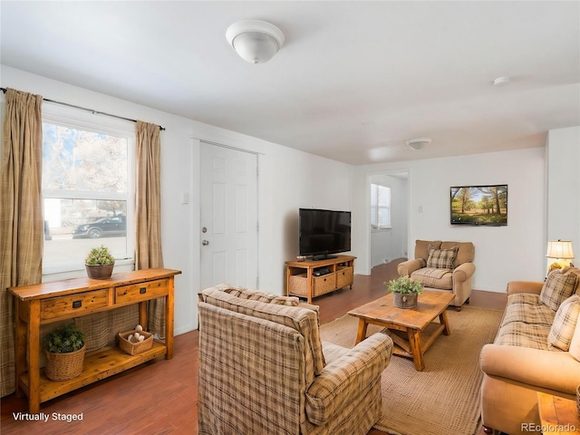 living room featuring hardwood / wood-style floors