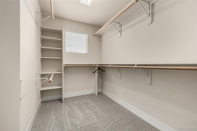 16434 Homestead Ct, Parker, CO 80134 - spacious closet with carpet