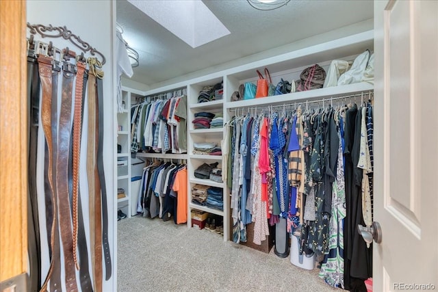 16642 W Archer Ave, Golden, CO 80401 - spacious closet with carpet flooring and a skylight