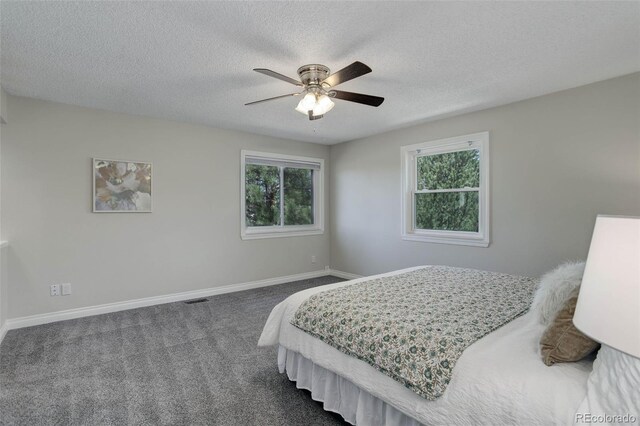 7420 Windwood Way, Parker, CO 80134 - photo 23