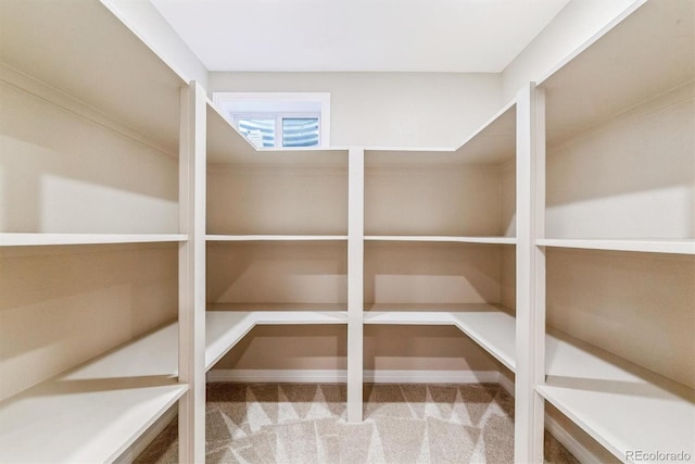 9015 W Tanforan Dr, Littleton, CO 80123 - view of storage area