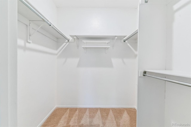 9015 W Tanforan Dr, Littleton, CO 80123 - spacious closet with light carpet