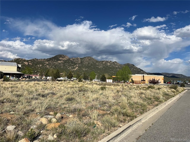 120 Harrison Ave, Buena Vista, CO 81211