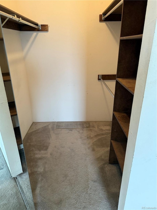 spacious closet with carpet