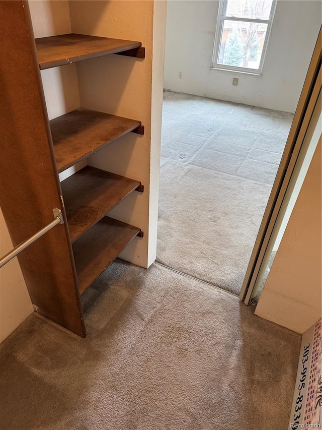 view of closet