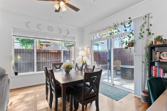 1776 Race St Unit 109, Denver, CO 80206 - dining room featuring a ceiling fan, crown molding, and light wood finished floors