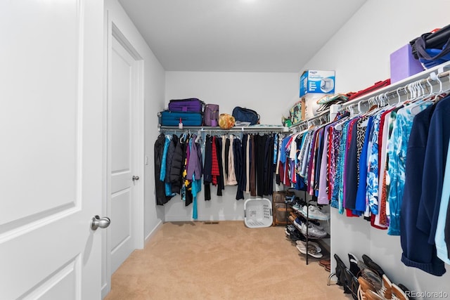 15802 Xanthia Way, Thornton, CO 80602 - spacious closet with carpet flooring
