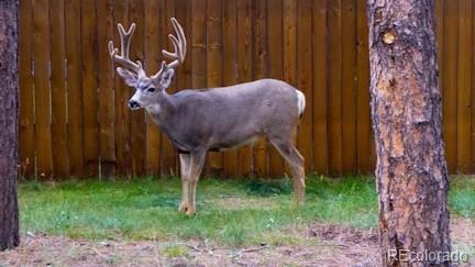 500 W Kelly Rd, Woodland Park, CO 80863 - photo 41