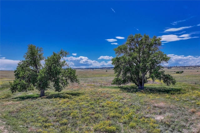 Listing photo 3 for Fiddleback Ranch Rd, Kiowa CO 80117