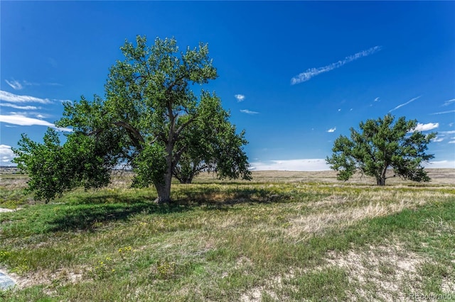 Listing photo 2 for Fiddleback Ranch Rd, Kiowa CO 80117