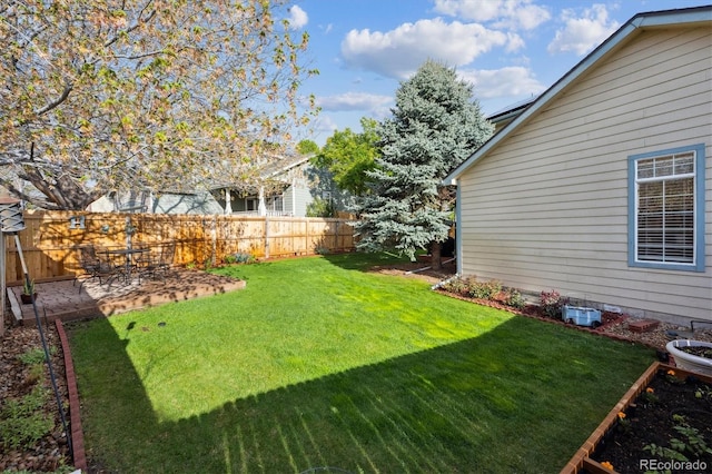 view of yard with a patio and a fenced backyard