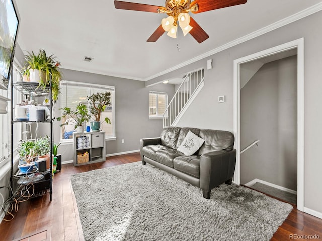 living area with baseboards, visible vents, dark wood-type flooring, and ornamental molding