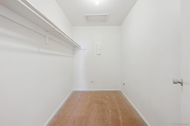 725 S Alton Way Unit 7D, Denver, CO 80247 - walk in closet with carpet flooring and attic access