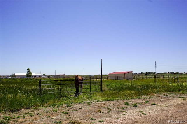 view of yard with a rural view