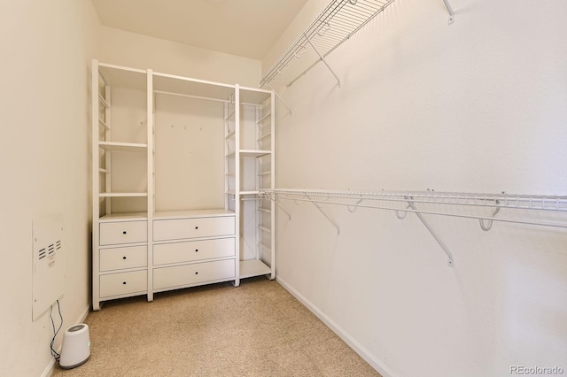 3491 Cascina Pl Unit D, Highlands Ranch, CO 80126 - walk in closet featuring light carpet
