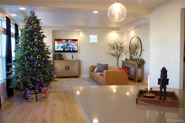 living room featuring hardwood / wood-style floors