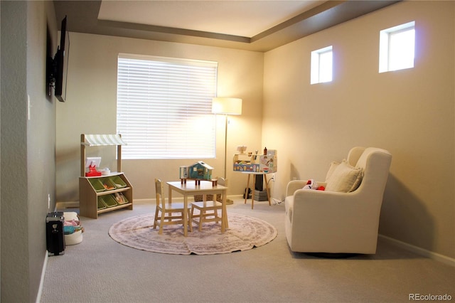 playroom with a tray ceiling and carpet