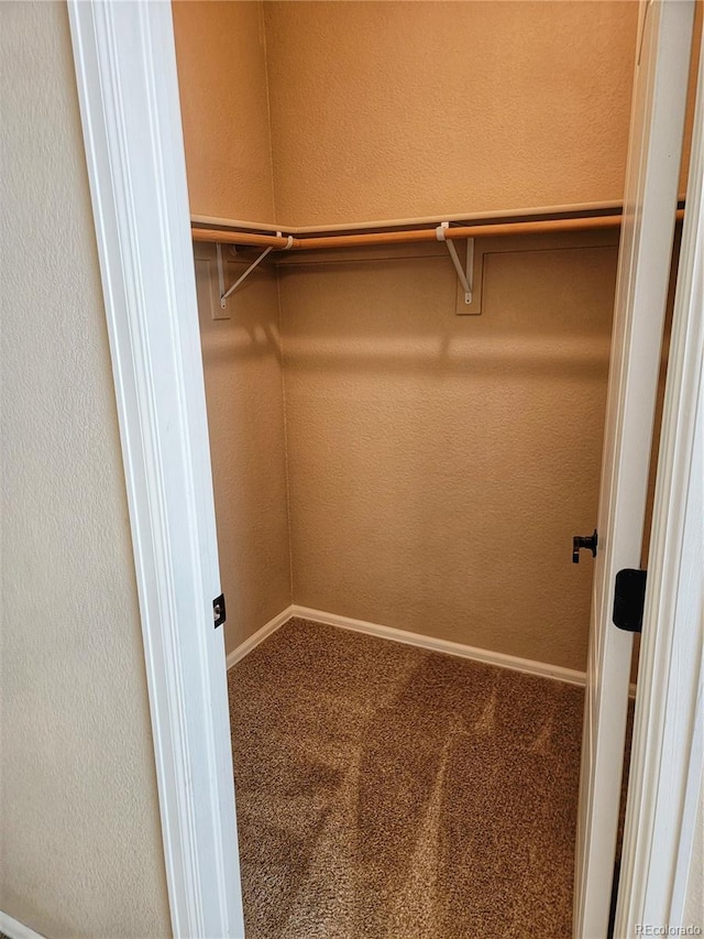 spacious closet with carpet flooring