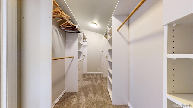 10718 Ash Ct, Thornton, CO 80233 - spacious closet with carpet flooring