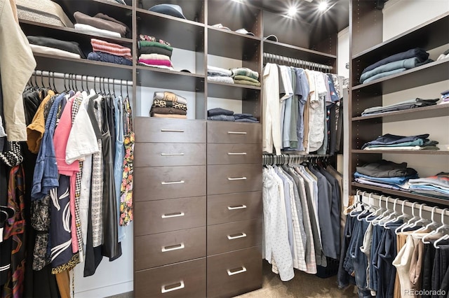3220 Zuni St, Denver, CO 80211 - spacious closet with carpet floors