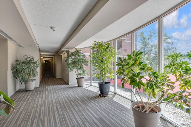 5955 E 10th Ave Unit 201, Denver, CO 80220 - view of wooden deck