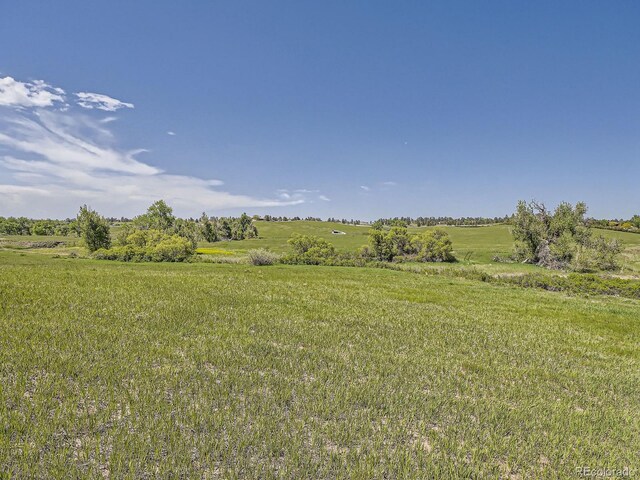10443 Tomahawk Rd, Parker, CO 80138 - photo 25
