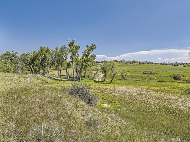 10443 Tomahawk Rd, Parker, CO 80138 - photo 9