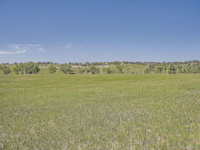 10443 Tomahawk Rd, Parker, CO 80138 - photo 10