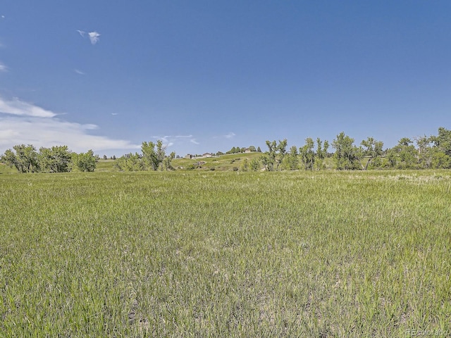 10443 Tomahawk Rd, Parker, CO 80138 - photo 11
