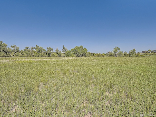 10443 Tomahawk Rd, Parker, CO 80138 - photo 15