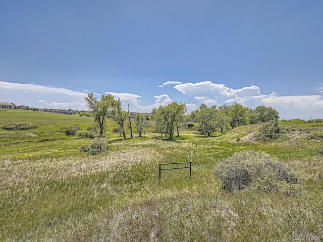 10443 Tomahawk Rd, Parker, CO 80138 - photo 19