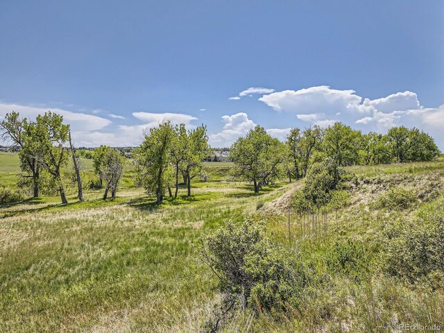 10443 Tomahawk Rd, Parker, CO 80138 - photo 21