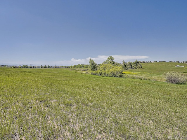 10443 Tomahawk Rd, Parker, CO 80138 - photo 24