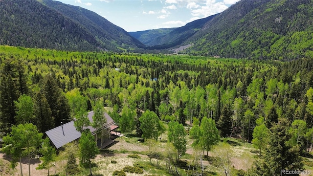 1113 Spring St, Jasper, CO 81144 - photo 2