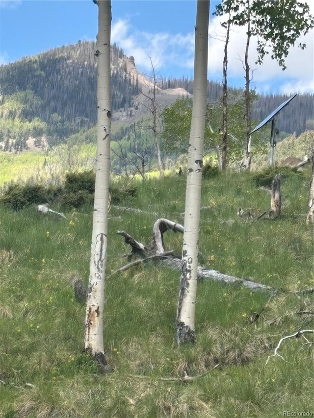 1113 Spring St, Jasper, CO 81144 - photo 6