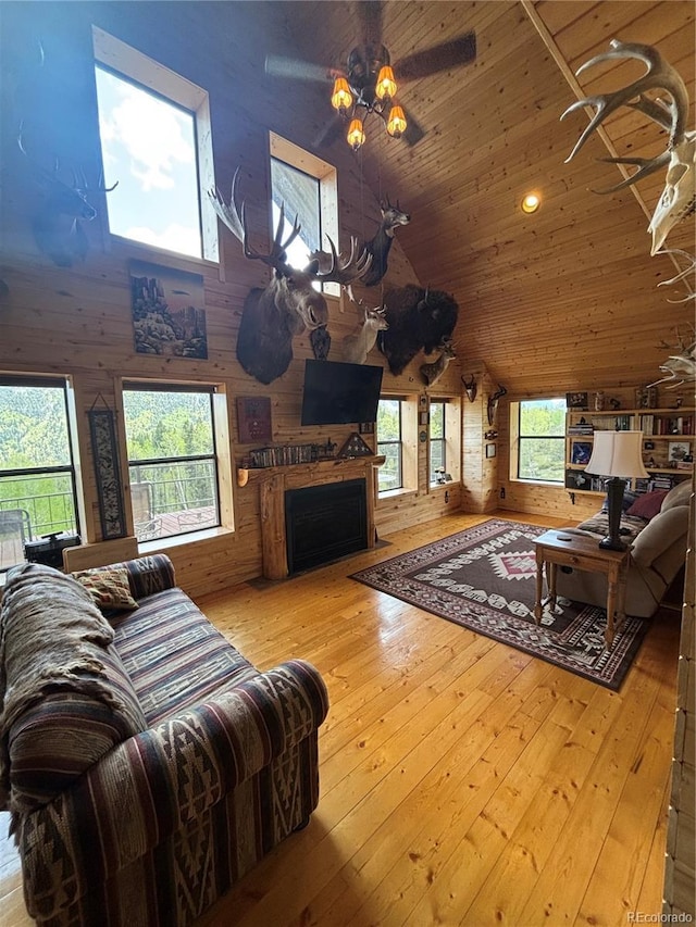 1113 Spring St, Jasper, CO 81144 - photo 7