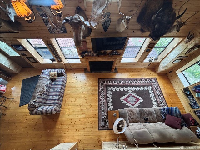 1113 Spring St, Jasper, CO 81144 - photo 8