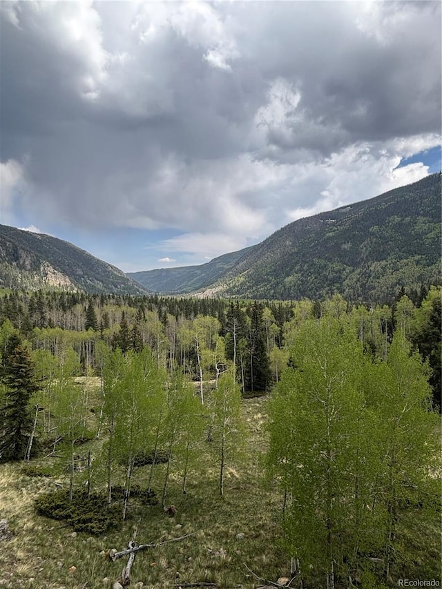 1113 Spring St, Jasper, CO 81144 - photo 13